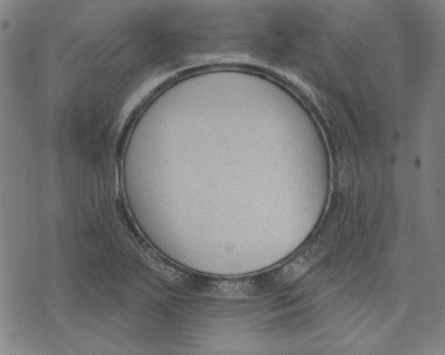 X0000076221271200610191523