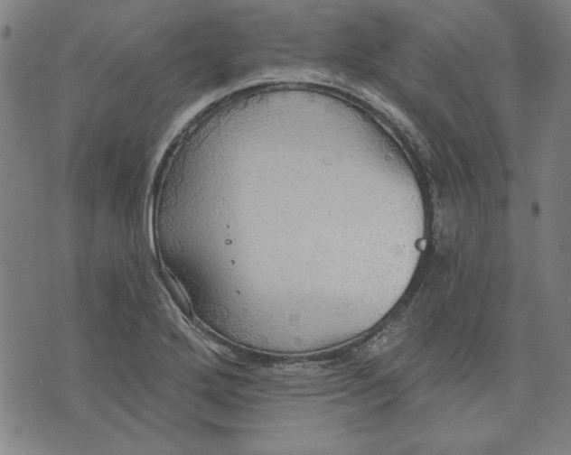 X0000076221272200610191523