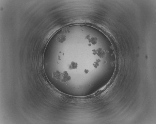 X0000076221273200610191523