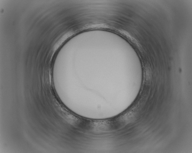 X0000076221274200610191523