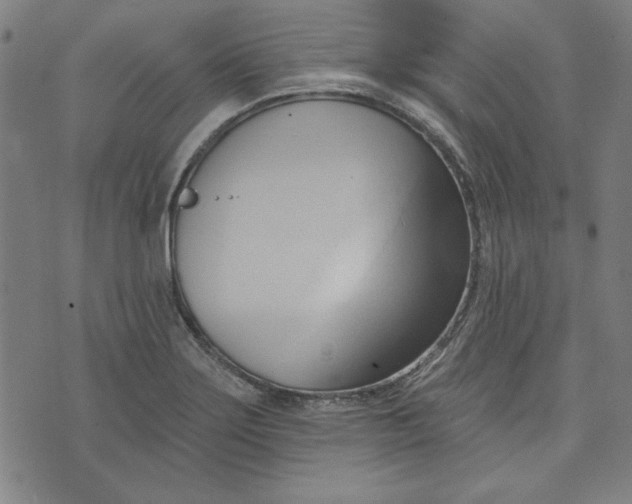 X0000076221275200610191523