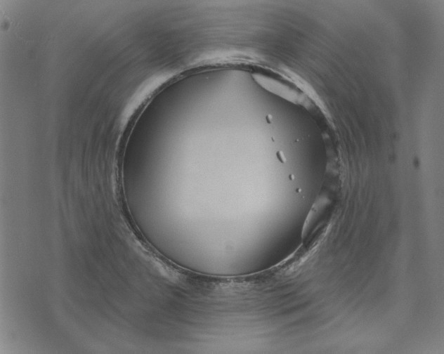 X0000076221277200610191523