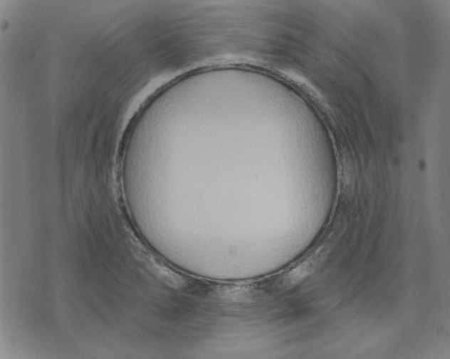 X0000076221278200610191523