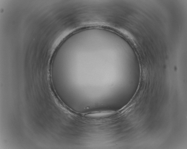 X0000076221279200610191523