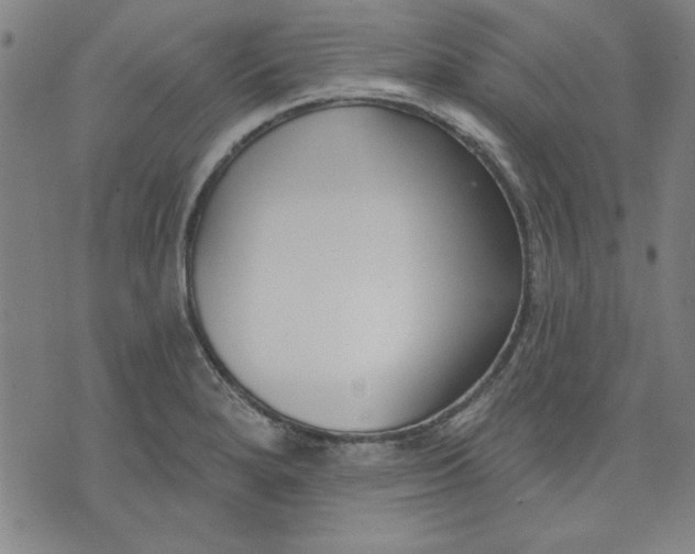 X0000076221280200610191523