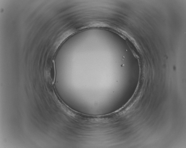 X0000076221281200610191523