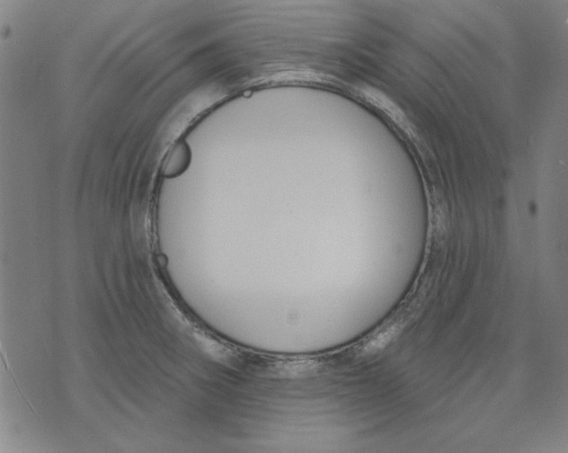 X0000076221282200610191523