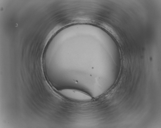 X0000076221283200610191523