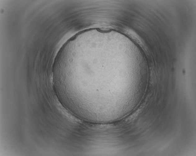 X0000076221284200610191523