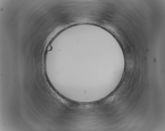 X0000076221286200610191523