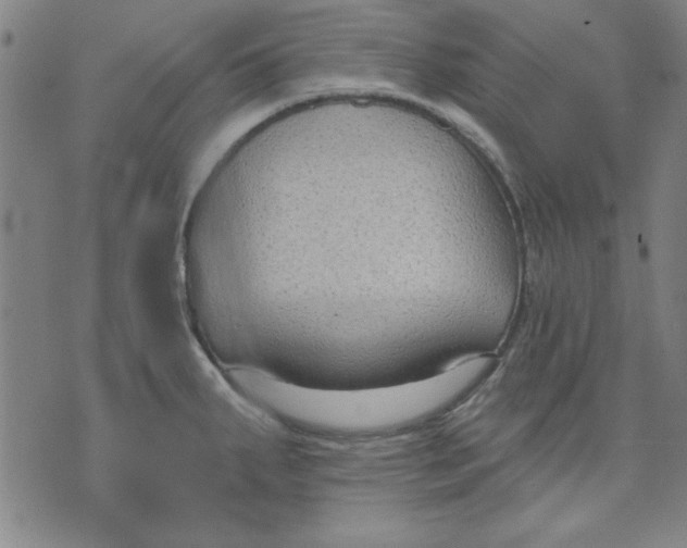 X0000076221287200610191523