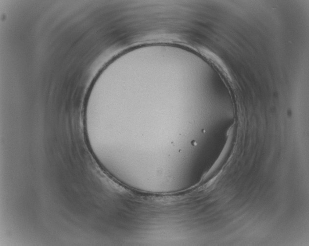 X0000076221288200610191523