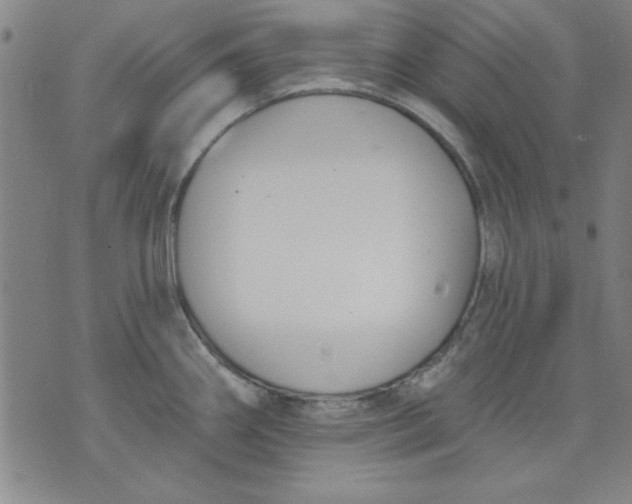 X0000076221290200610191523