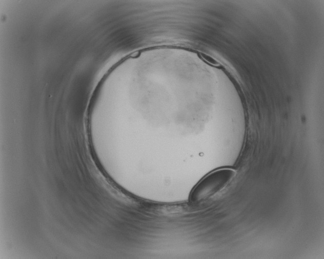 X0000076221291200610191523