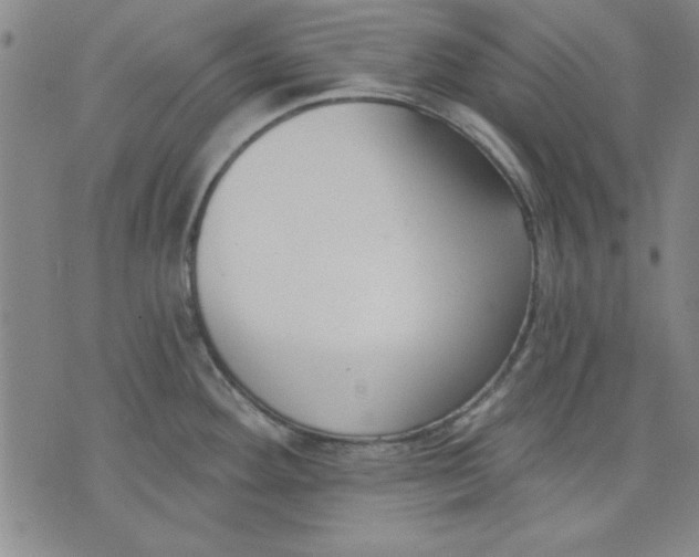 X0000076221292200610191523