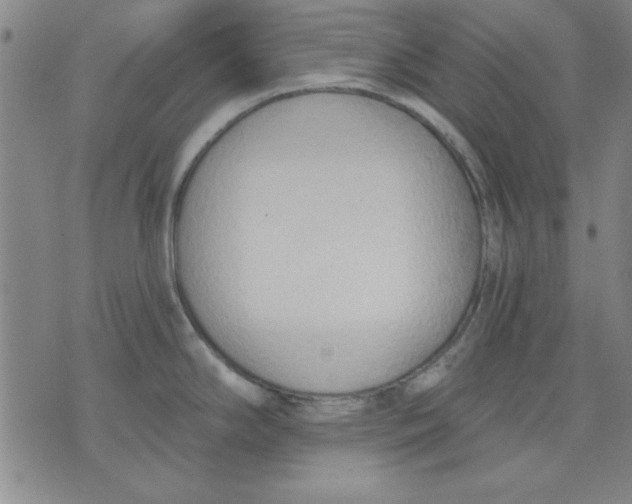 X0000076221294200610191523