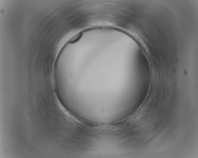 X0000076221295200610191523