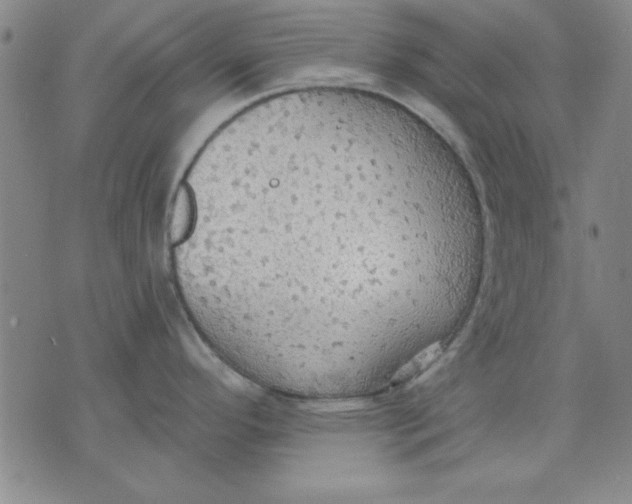 X0000076221296200610191523