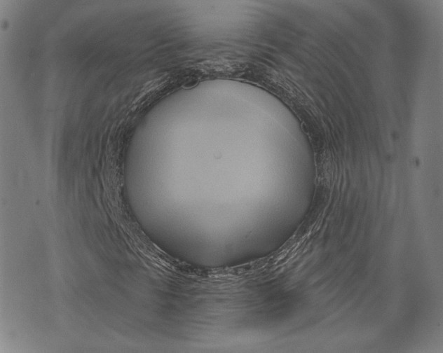 X0000076221297200610191522