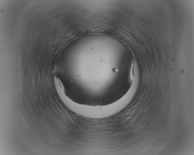 X0000076221298200610191522