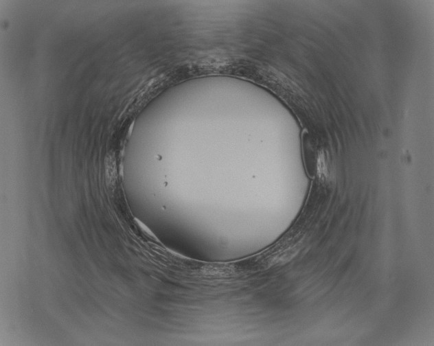 X0000076221299200610191522