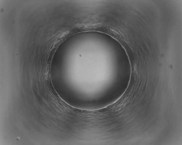 X0000076221300200610191522