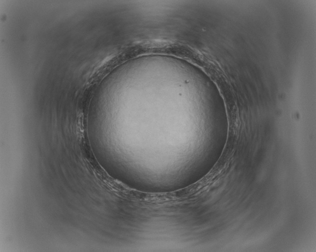 X0000076221301200610191522