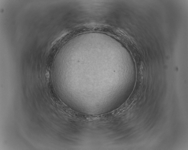 X0000076221302200610191522