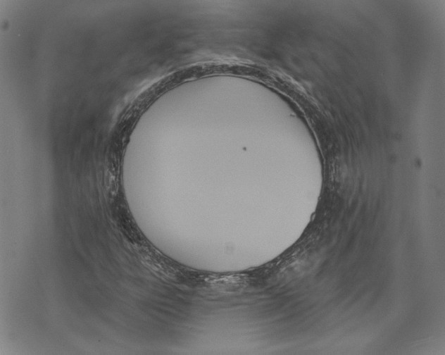 X0000076221303200610191522