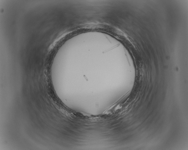 X0000076221304200610191522