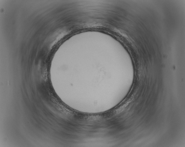 X0000076221306200610191522