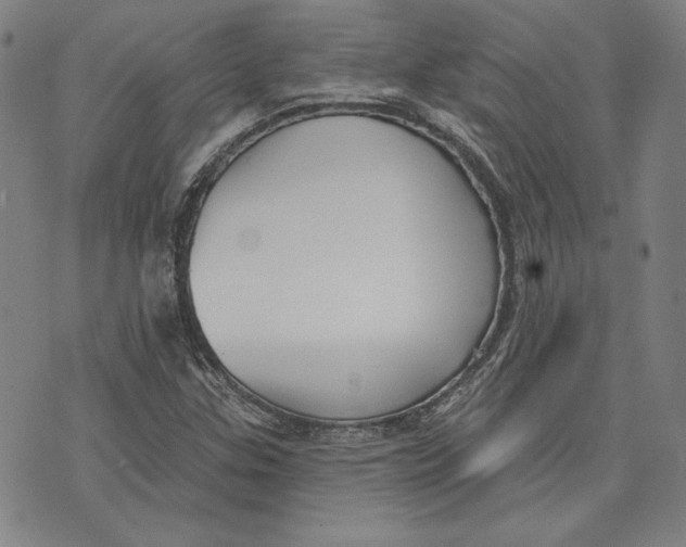 X0000076221307200610191522