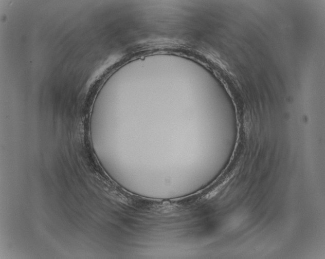 X0000076221309200610191522