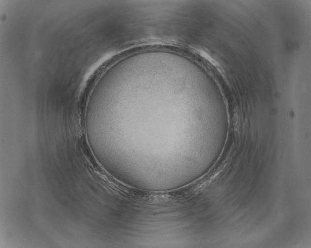 X0000076221310200610191522