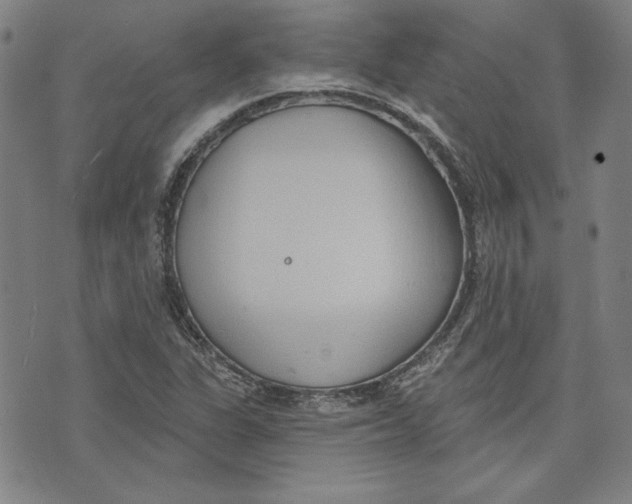 X0000076221311200610191523