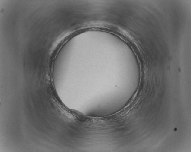 X0000076221312200610191523