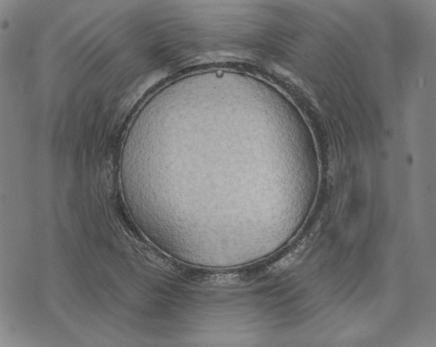 X0000076221313200610191523