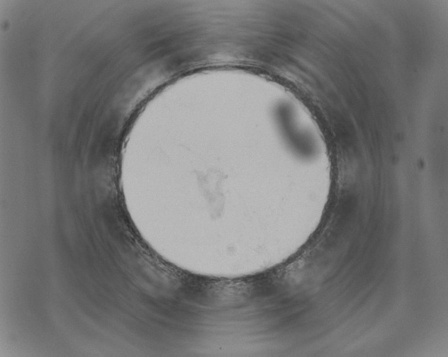 X0000076221314200610191523