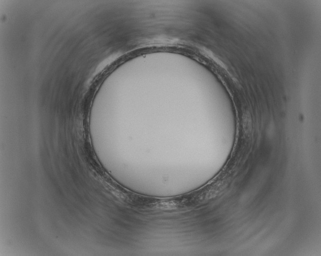 X0000076221315200610191523