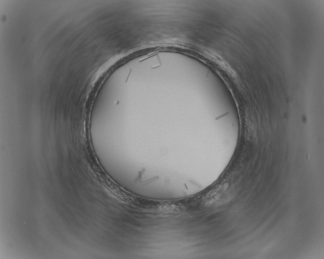 X0000076221316200610191523