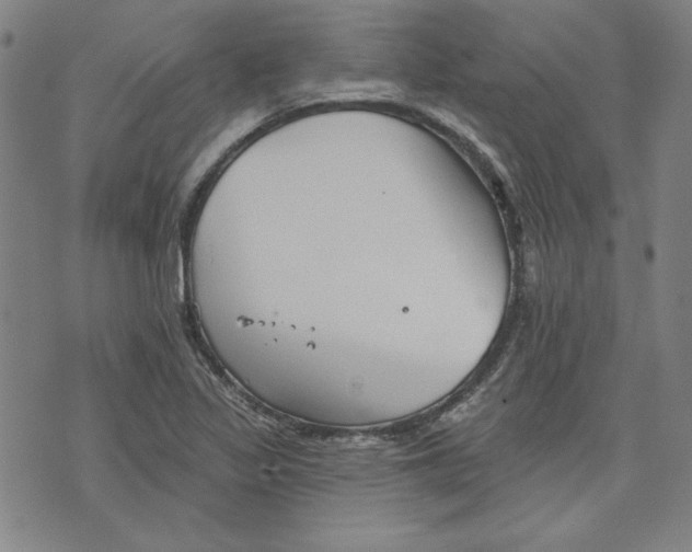 X0000076221317200610191523