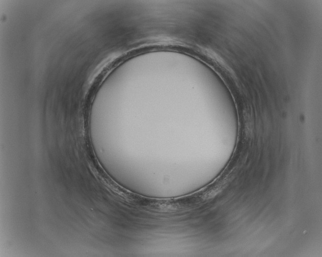 X0000076221318200610191523