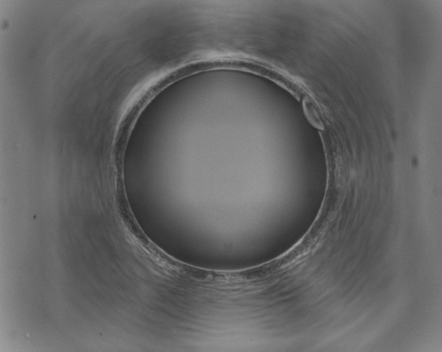 X0000076221319200610191523