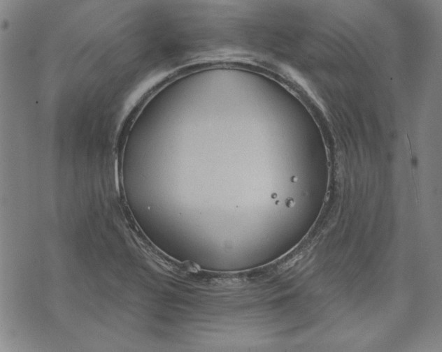 X0000076221320200610191523