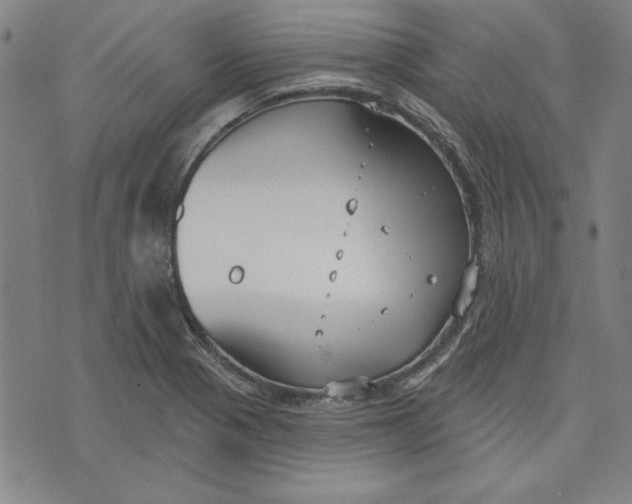 X0000076221321200610191523