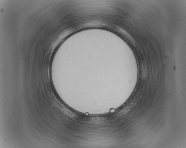 X0000076221322200610191523