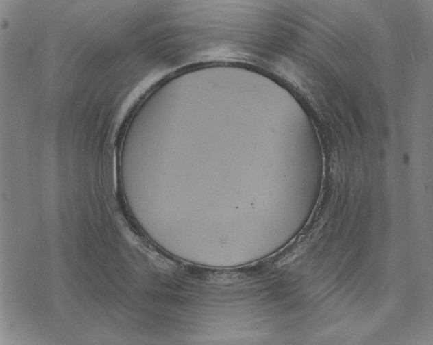 X0000076221323200610191523