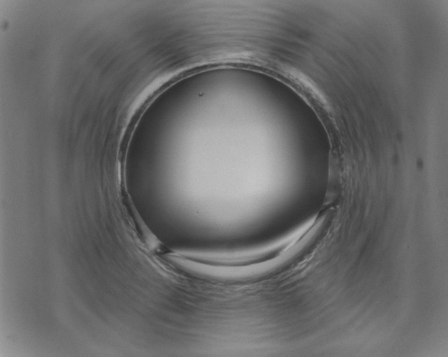 X0000076221324200610191523