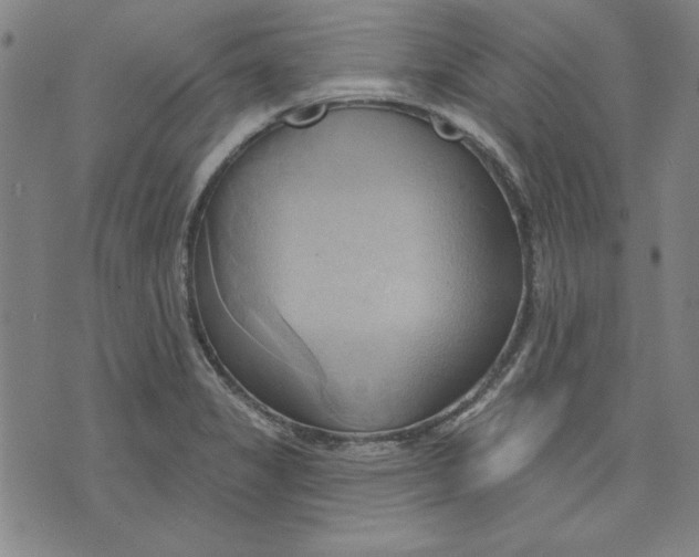 X0000076221325200610191523