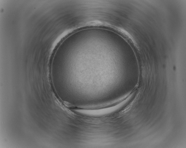 X0000076221326200610191523